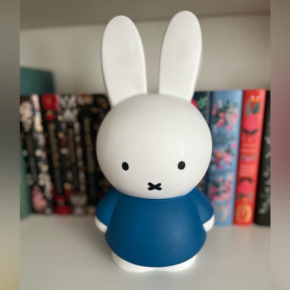 EUC Miffy Bank